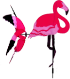 Wind Wheel 3-d Flamingo